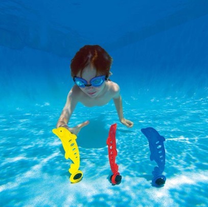 Underwater Fun Dolphins